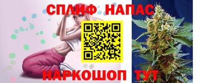 spice Обь