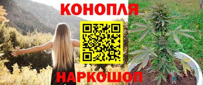 spice Обь