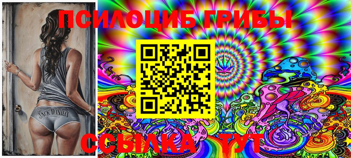 Галлюциногенные грибы Psilocybine cubensis  купить наркоту  Шатура  Вход с VPN 